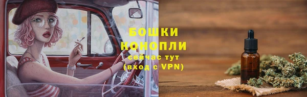 мет Новозыбков