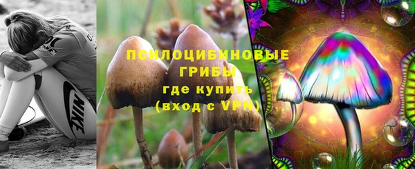 мет Новозыбков