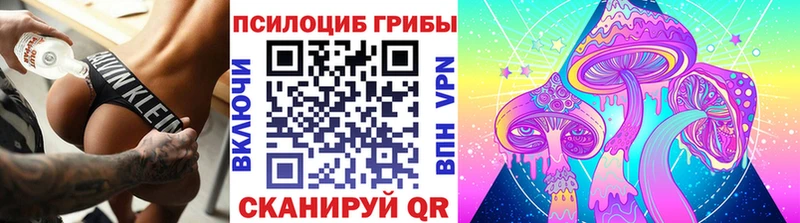 Галлюциногенные грибы Psilocybe  Кашин 